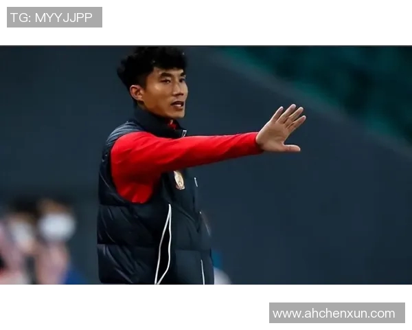 足球明星郑智的职业生涯与成就全解析及个人生活揭秘